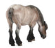 Belgian horse, Belgian Heavy Horse, Brabancon, draft horse Wall Decal