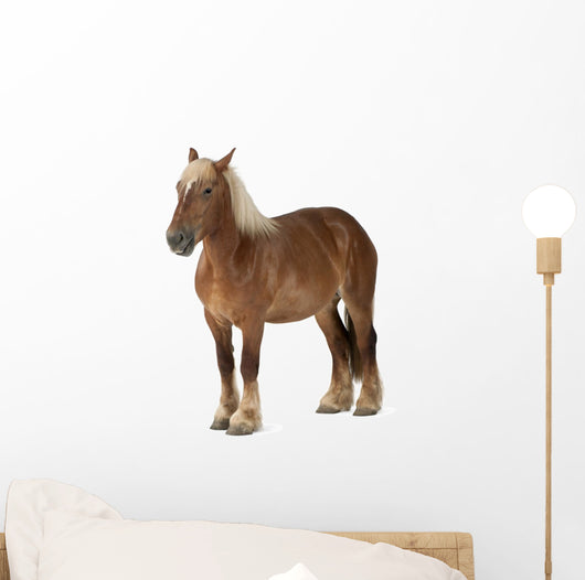 Belgian Horse Wall Decal
