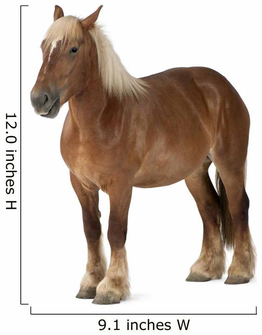 Belgian Horse Wall Decal