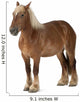Belgian Horse Wall Decal