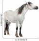 Horse 2 Years Old