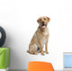 Golden Labrador Retriever Wall Decal