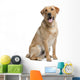 Golden Labrador Retriever Wall Decal