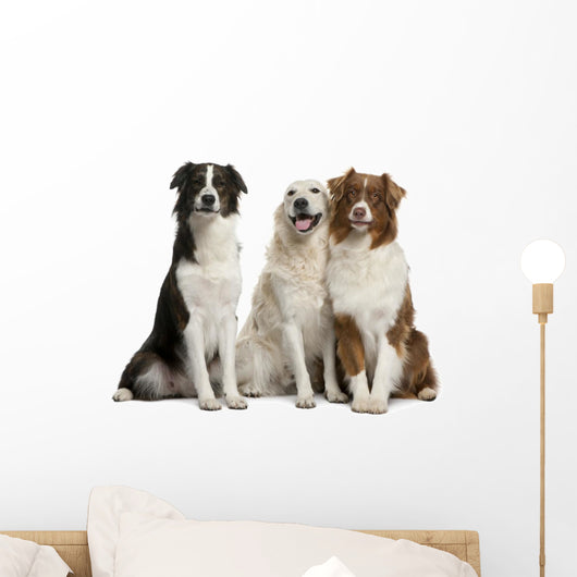 Three Mixed-Breed Dogs Wall Decal