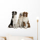 Three Mixed-Breed Dogs Wall Decal
