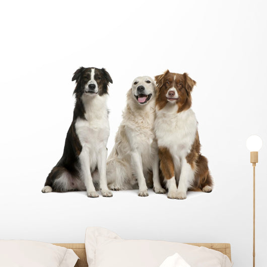 Three Mixed-Breed Dogs Wall Decal
