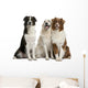 Three Mixed-Breed Dogs Wall Decal