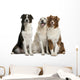 Three Mixed-Breed Dogs Wall Decal