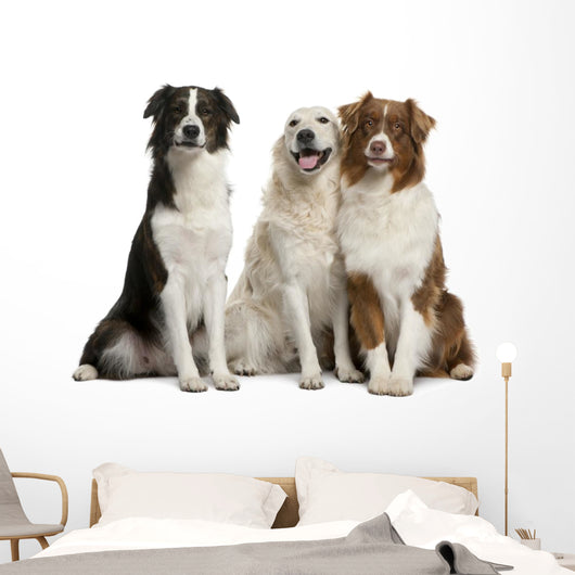 Three Mixed-Breed Dogs Wall Decal