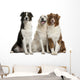 Three Mixed-Breed Dogs Wall Decal
