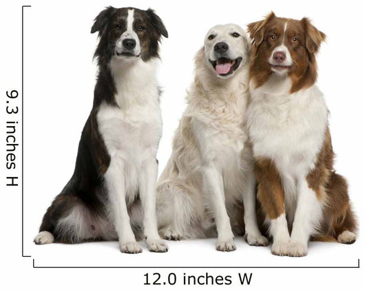 Three Mixed-Breed Dogs Wall Decal