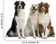 Three Mixed-Breed Dogs Wall Decal