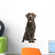 Brown Labrador retriever Wall Decal