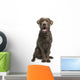 Brown Labrador retriever Wall Decal