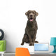 Brown Labrador retriever Wall Decal