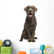 Brown Labrador retriever Wall Decal