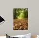 Beautiful Autumn Forest Scene