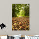 Beautiful Autumn Forest Scene