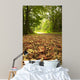 Beautiful Autumn Forest Scene