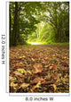 Beautiful Autumn Forest Scene