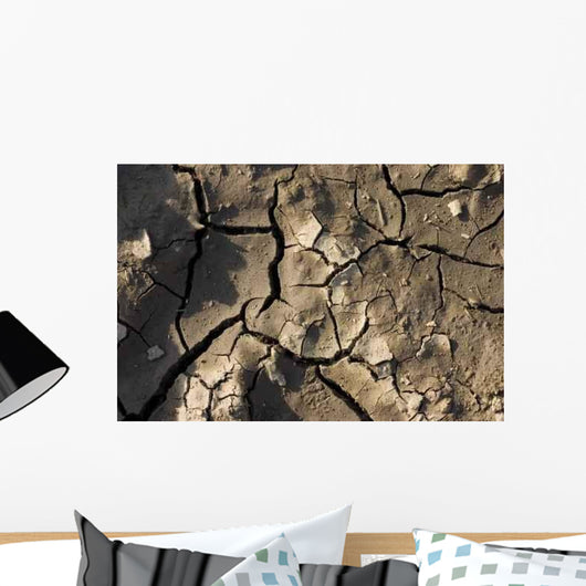 Siccita Wall Decal