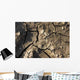 Siccita Wall Decal