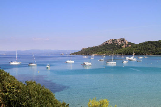 Coast Island Porquerolles