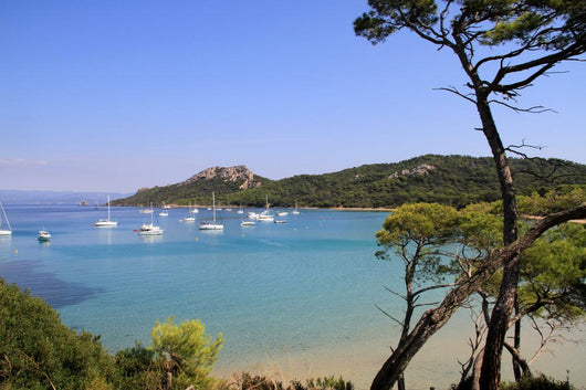 Beach Notre-dame Porquerolles Island