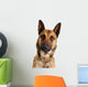 berger belge malinois Wall Decal