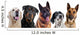 Dog heads Wall Decal