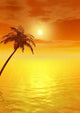 Sunset Palm V Wall Decal