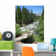 River Landscapes Wall Mural