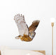 Owl Casual Flying Wall Decal