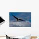 Bald Eagle Soaring Wall Mural