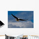 Bald Eagle Soaring Wall Mural