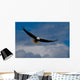 Bald Eagle Soaring Wall Mural