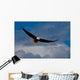 Bald Eagle Soaring Wall Mural