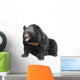 Bear Wall Decal