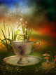 Magic Garden 2
