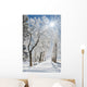 winter Wall Mural