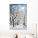 winter Wall Mural