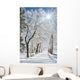 winter Wall Mural
