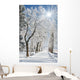 winter Wall Mural
