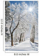 winter Wall Mural