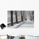 Winter Wall Mural