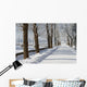 Winter Wall Mural