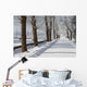 Winter Wall Mural