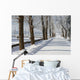 Winter Wall Mural