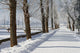 Winter Wall Mural