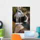 Beautiful Waterfall National Park Wall Mural